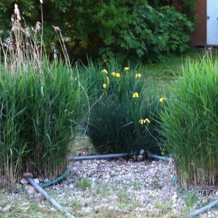 Appartement Neuf & Ecologique A La Campagne Marzens Kültér fotó