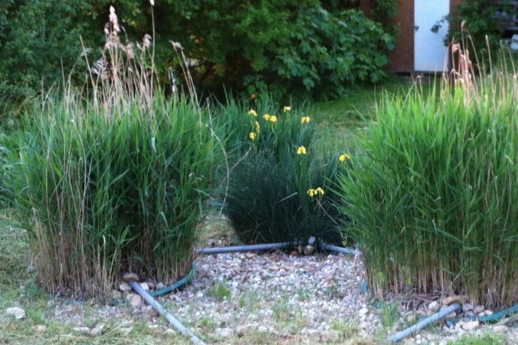 Appartement Neuf & Ecologique A La Campagne Marzens Kültér fotó